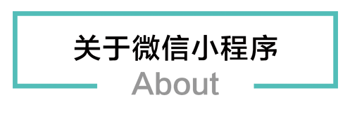 瀘州網(wǎng)站建設微信小程序