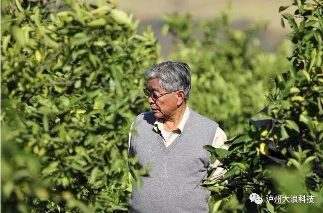 創(chuàng)業(yè)是一場馬拉松，你能堅持多久？