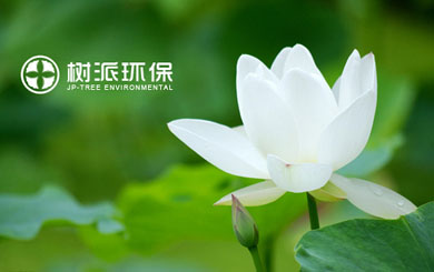 瀘州樹(shù)派環(huán)?？萍加邢薰?/></p>
                    <p class=